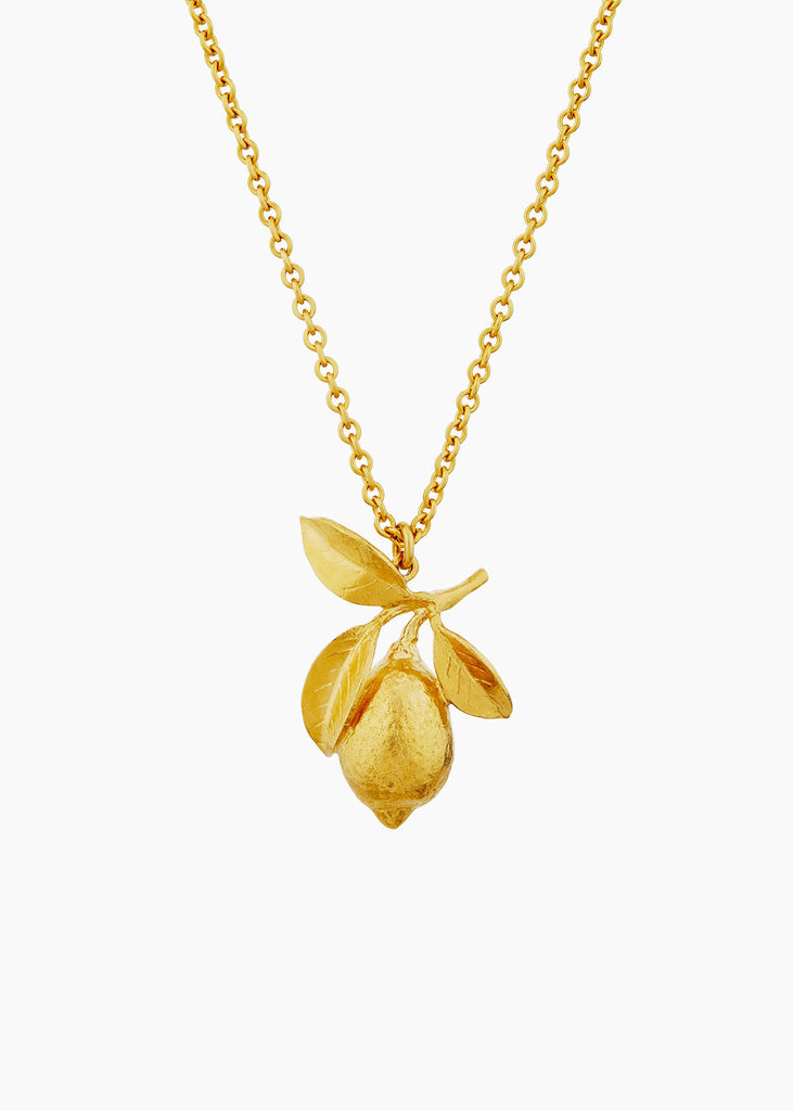 Alex Monroe Lemon and Leaf Necklace