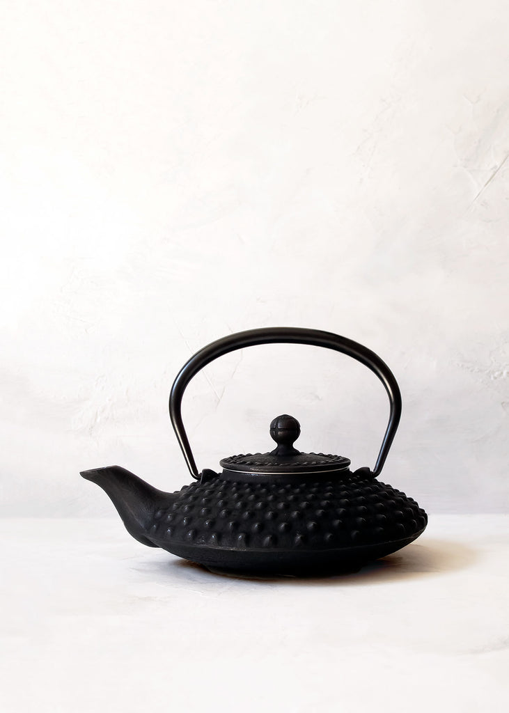 Iwachu Zakuro Cast Iron Teapot