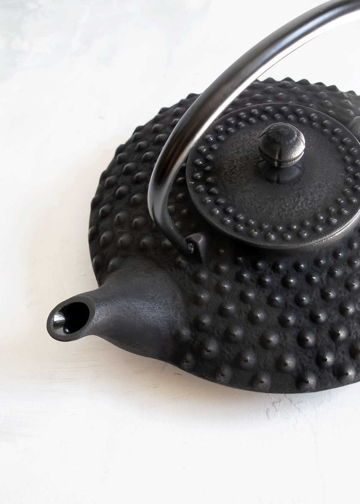 Iwachu Nambu Tekki Cast Iron Hailstone Teapot