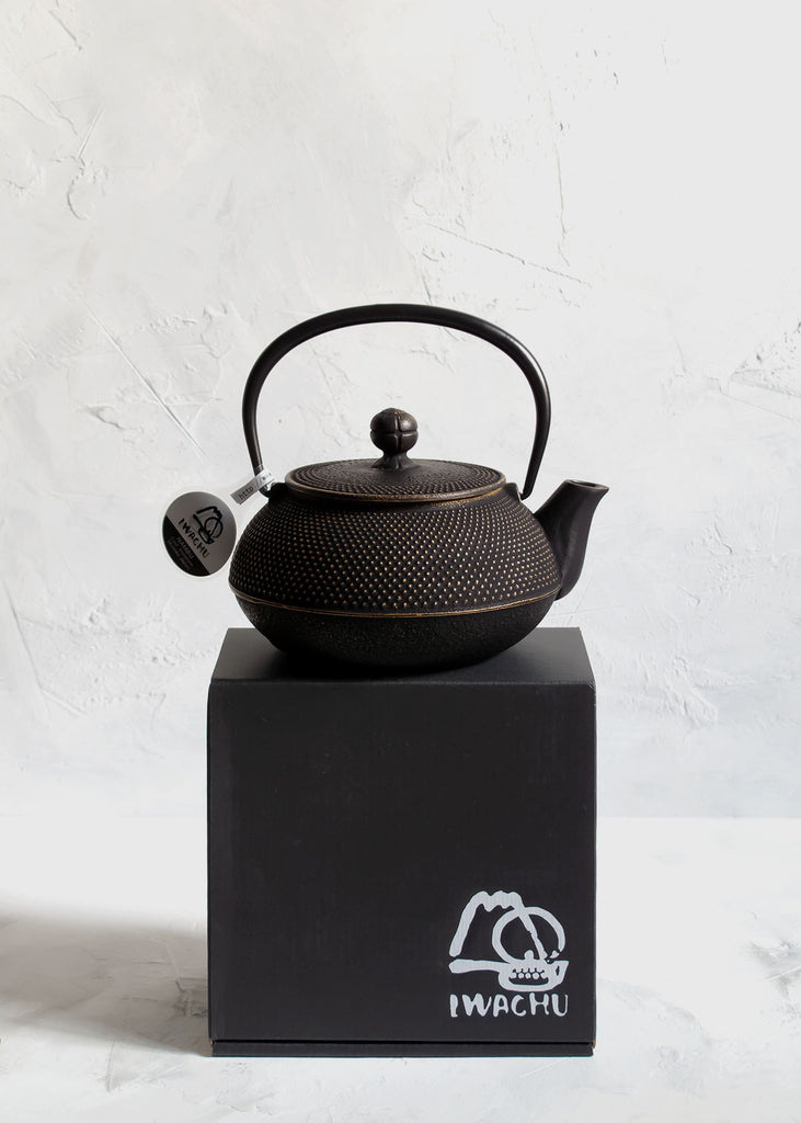 Iwachu Nambu Tekki Japanese Cast Iron Teapot