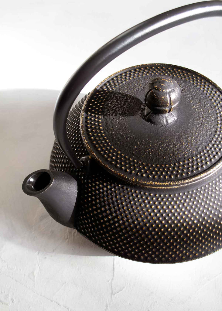 Iwachu Nambu Tekki Japanese Cast Iron Teapot