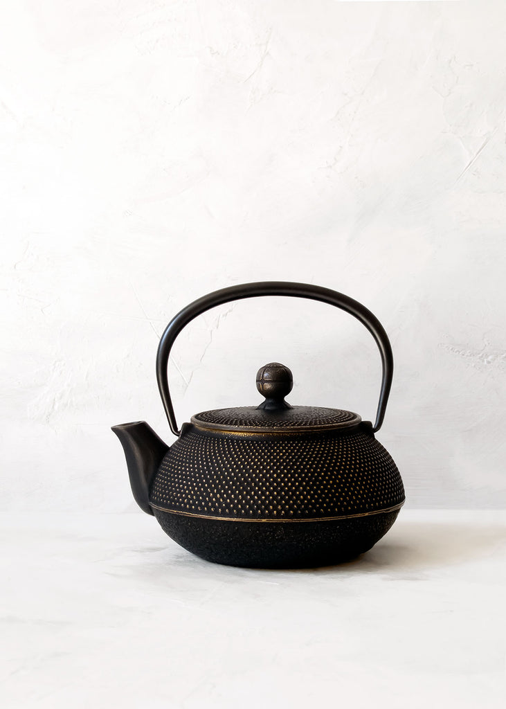 Iwachu Nambu Tekki Japanese Cast Iron Teapot