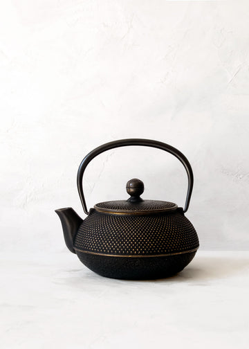 Iwachu Nambu Tekki Japanese Cast Iron Teapot