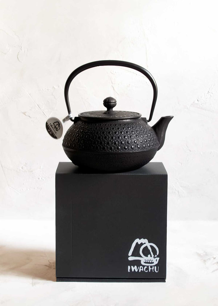 Iwachu Cast Iron Nambu Tekki Honeycomb Teapot