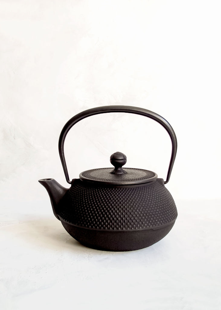 Iwachu Cast Iron Japanese Black Hobnail Teapot 