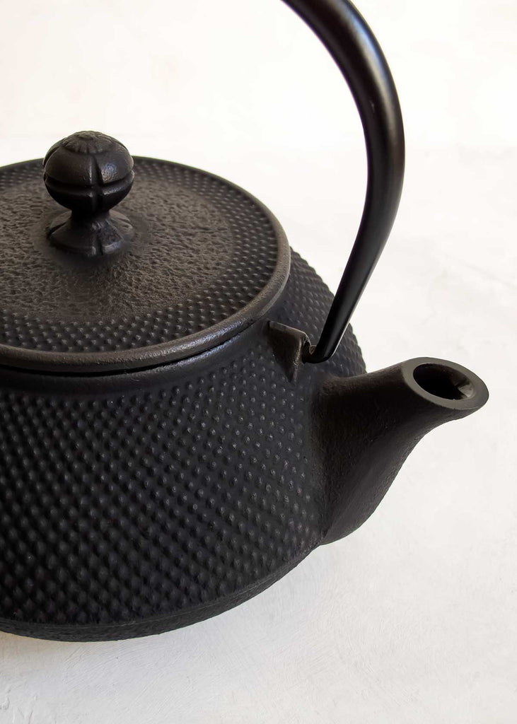 Iwachu Cast Iron Japanese Black Hobnail Teapot 
